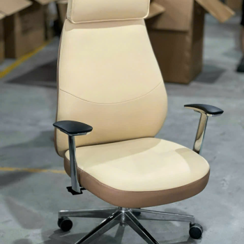 Ghế Giám Đốc TP13