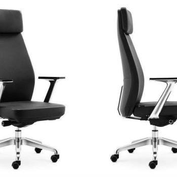 Ghế Giám Đốc TP21